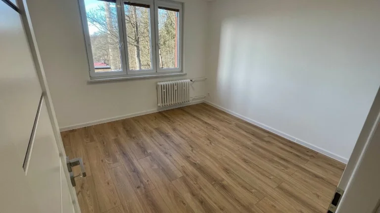 Pronájem bytu 2+1 v Aši