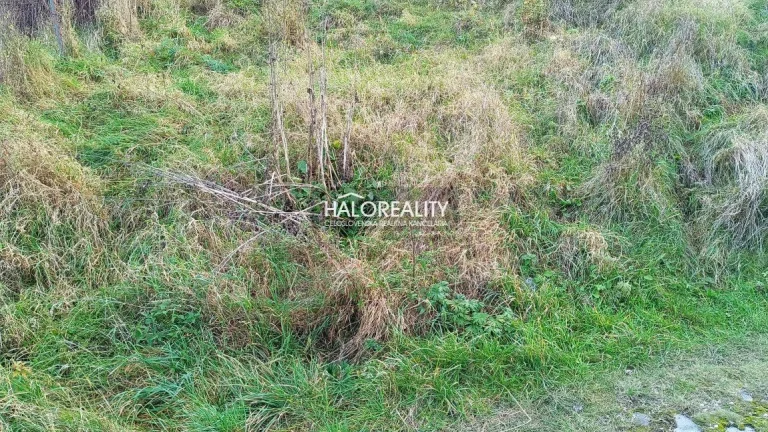 HALO reality - Predaj, rekreačný pozemok Smolník - EXKLUZÍVN