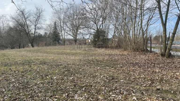 Prodej ovocného sadu, 2630 m², Nová Ves