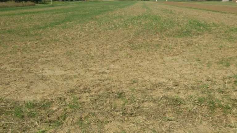 Na predaj pozemky 36.000 m2 v 1/1 / záhrada, TTP, orná pôda,