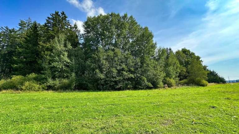 Prodej lesa, 4708 m², Kamenice nad Lipou