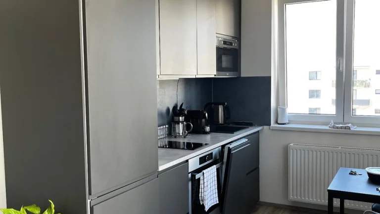 Pronájem bytu 1KK (42m2 + velký balkón 8m2)