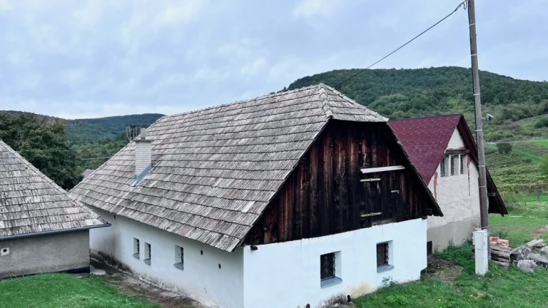 PREDAJ VINOHRADNÍCKEJ STAVBY S HISTORICKOU VÍNNOU PIVNICOU