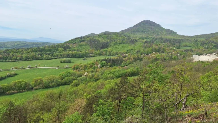Tulčík - Spoluvlastnícky podiel na lesoch (URBÁR)