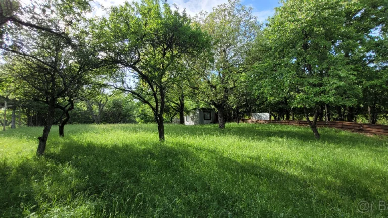 ZÁHRADA ČERVENÝ BREH, KOŠICE - SEVER, 961 m2