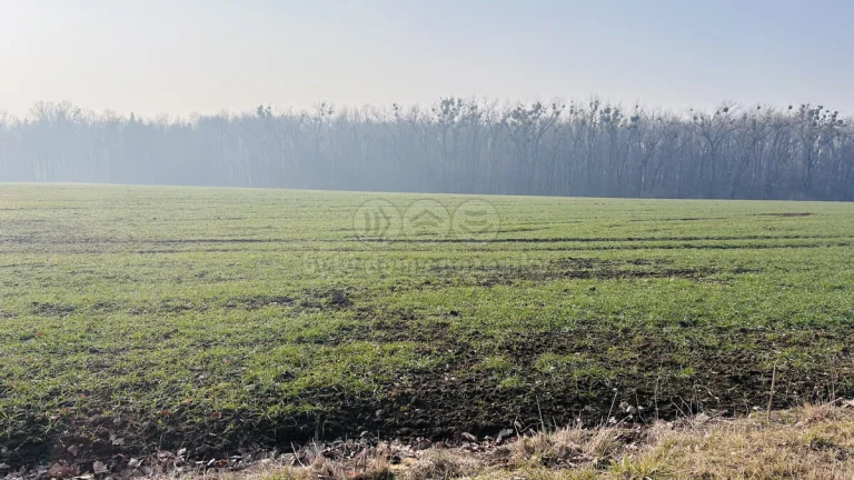 Prodej pole, 3509 m², Frýdek-Místek