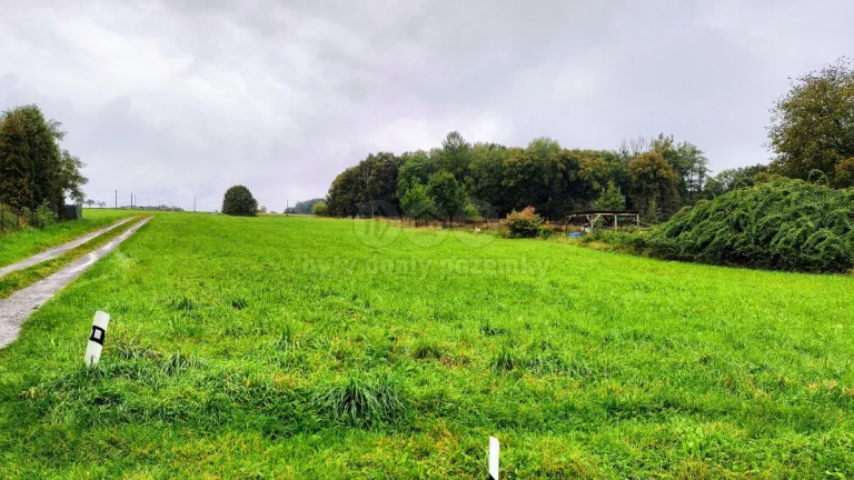 Prodej pozemku k bydlení, 1556 m², Těrlicko, ul. Mokřadní