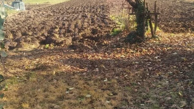 Záhrada - orná pôda na prenájom - okres Šaľa