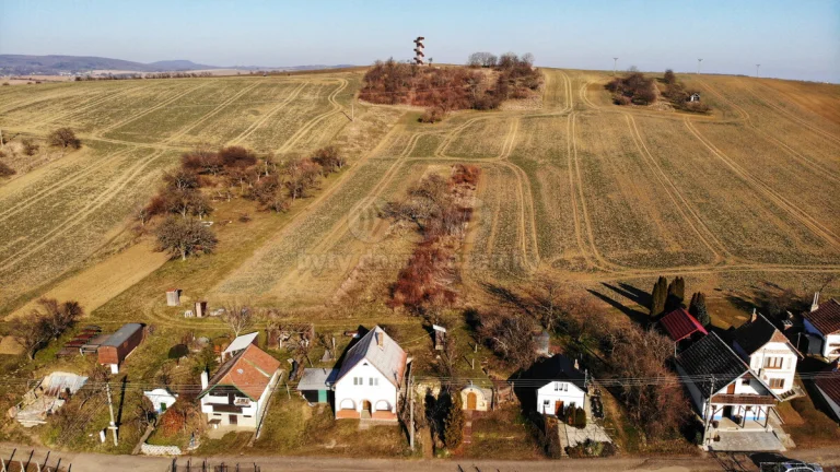 Prodej vinného sklepu, 54 m², Hýsly