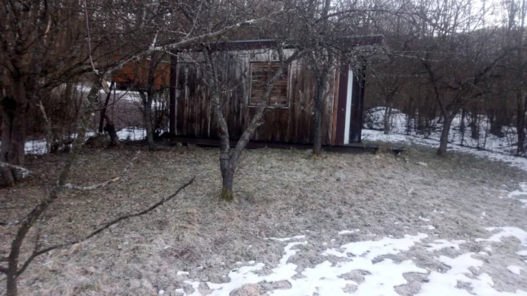 Záhrada s ovocnými stromami