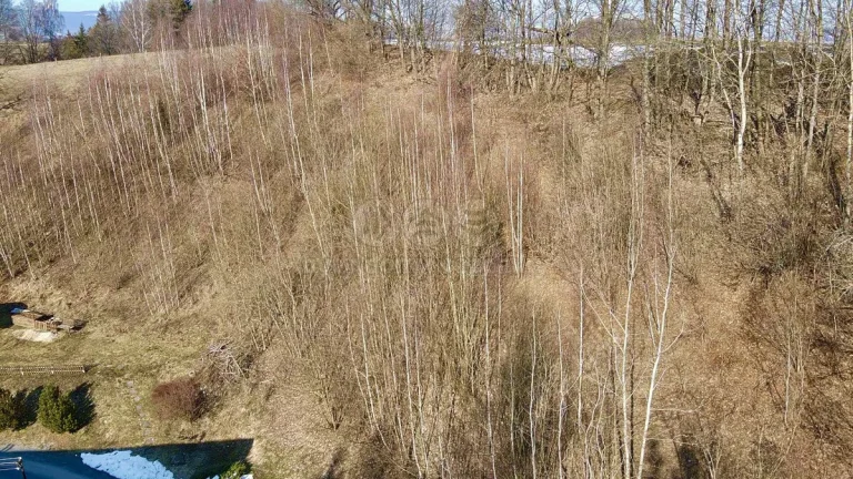 Prodej louky, 3087 m², Hanušovice