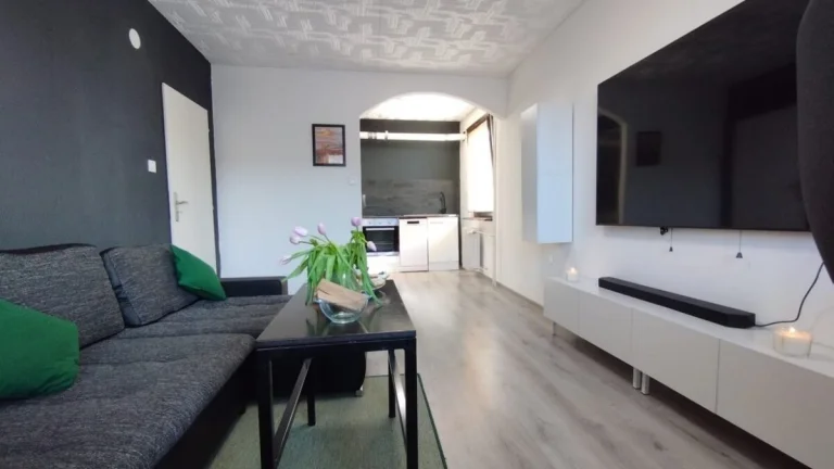 Prodej bytu 2+1 45 m2 Netvořice okr. Benešov
