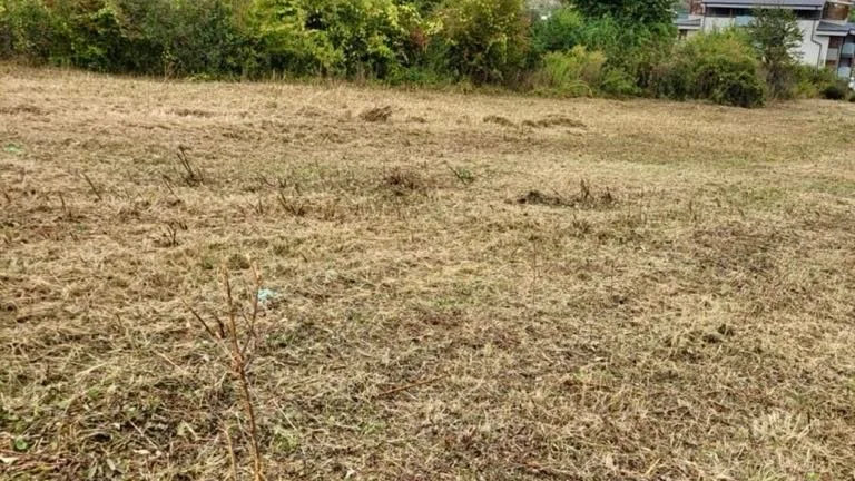Na predaj stavebné pozemky, Podhájska