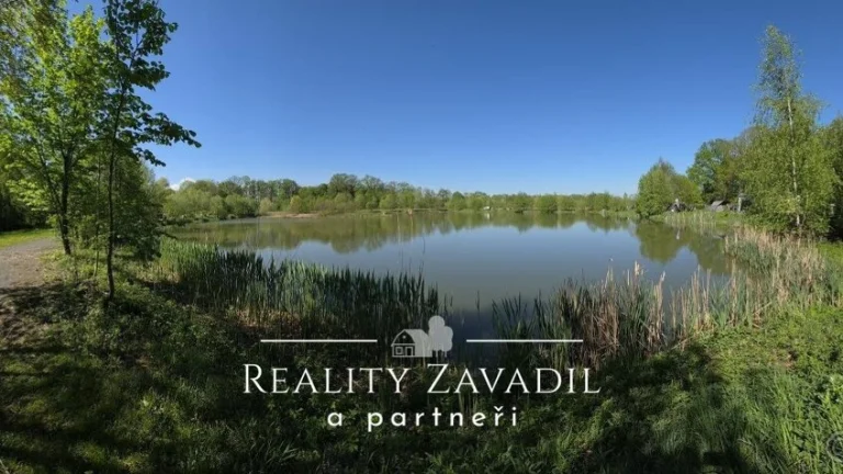 Prodej rybníku (vodní plochy 18921) Žabeń