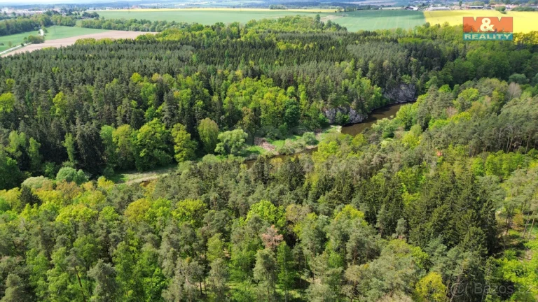 Prodej lesa, 79857 m², Černýšovice