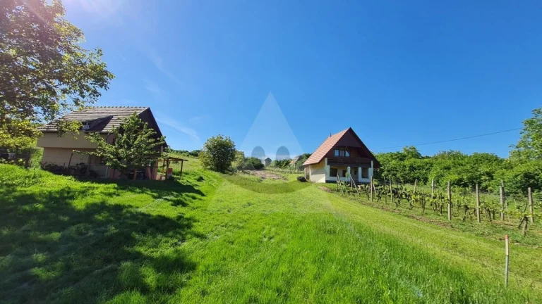Rekreačný pozemok na predaj vo vinárskej oblasti Modrany