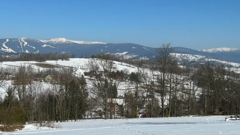 Stavební pozemek