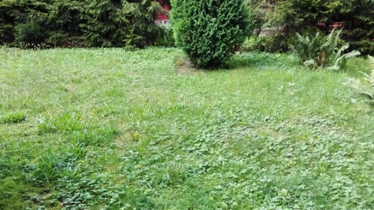 Prodám pozemek v Dolní Líštná - Třinec - 1500 m2