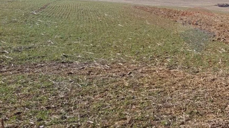 Predaj orná pôda 1733860 m2 okres Nové Zámky