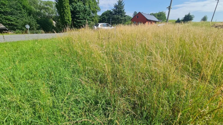 Stavebni parcela Rychleb.stezky-Cerna Voda