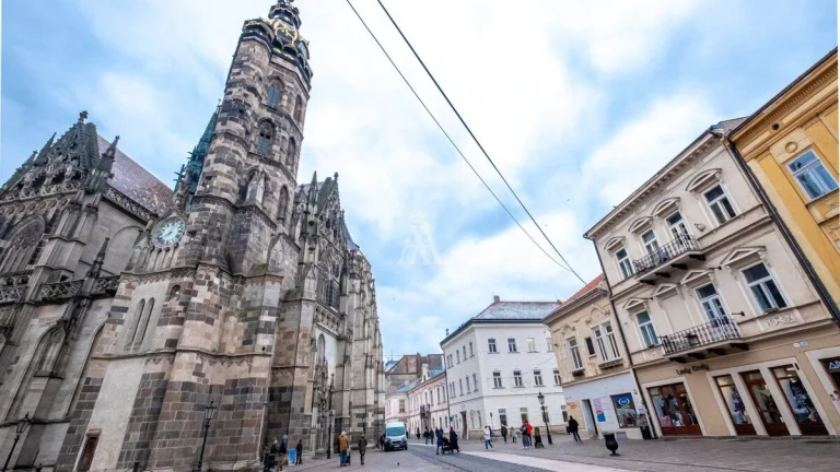 Multifunkčná budova na predaj, meštiansky dom, historické j