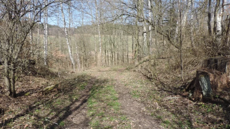 Břevniště pod Ralskem 904/1