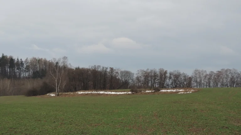 Stráž pod Ralskem 803