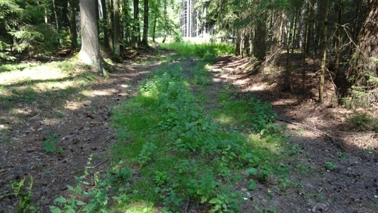 Oltyně 390/1