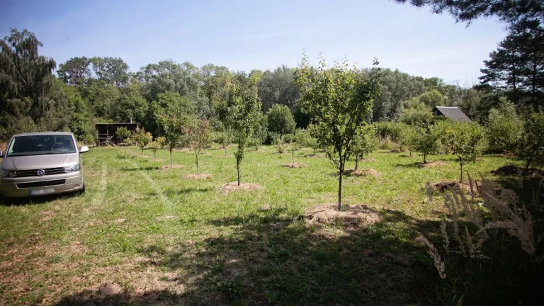 Prodej zahrady 3146 m2 Louny Lužerady