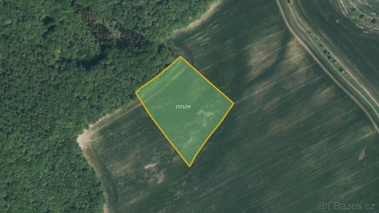 Zemědělská půda, prodej, Bohuslavice, Kyjov, Hodonín
