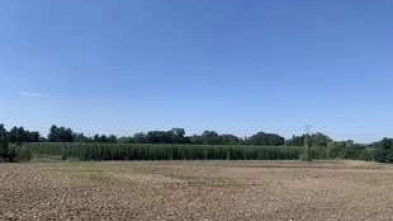 Podíl na pozemcích Polepy a movité věci