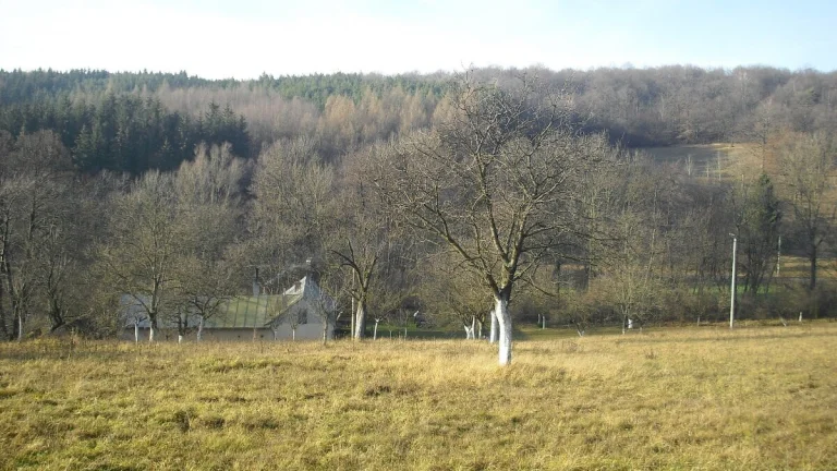 Prodej zemědělské usedlosti 305 m², pozemek 21 000 m²