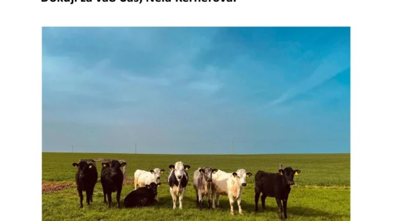 Nabídněte ornou pudu do pronájmu začínající farmářce