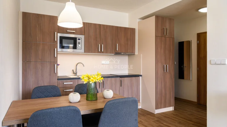 Krásný apartmán 2+kk ve Všemině o výměře 46 m² + sklep a ter