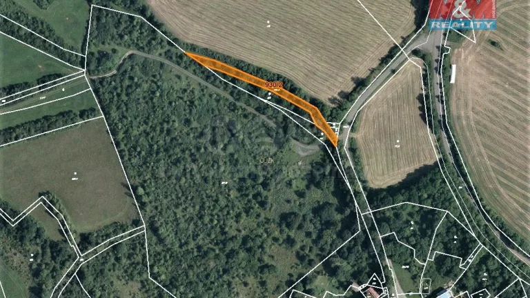 Prodej lesa, 1300 m², Konice u Mašťova