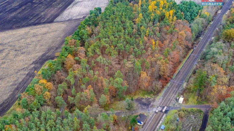Prodej lesa, 6436 m², Lysá nad Labem
