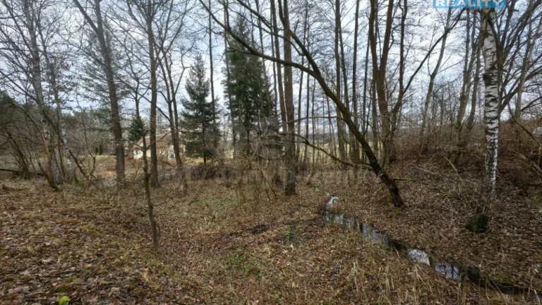 Prodej louky, 629 m², Borohrádek