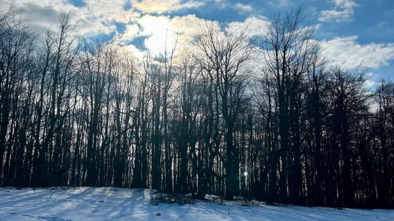 Dopyt - RD, chata, pozemok