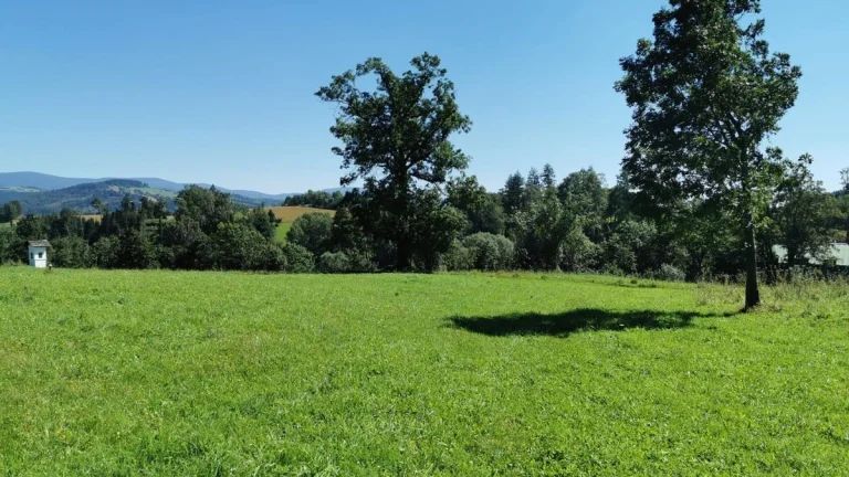 Stavební pozemek 820 m2 Stříbrnice, Ski Králičák