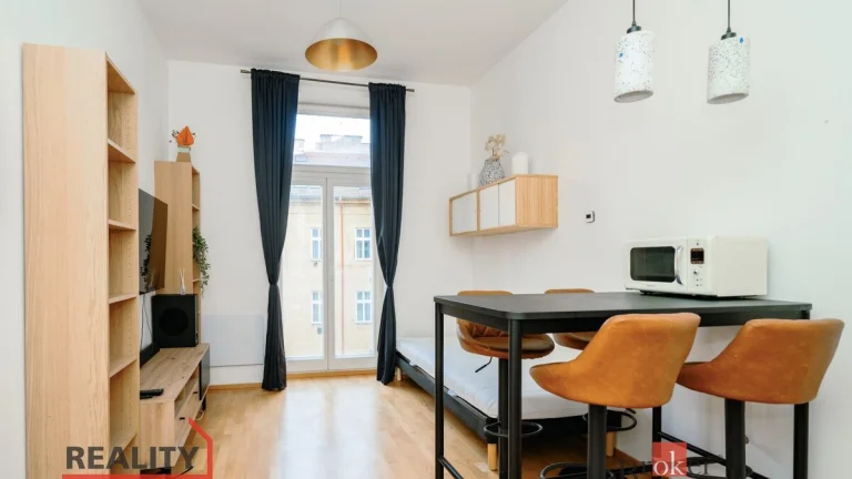Prodej, byty/1+kk, 22 m2, Příčná 1892/4, 11000 Praha, Hlavní