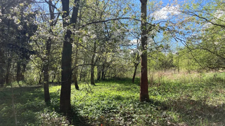 Prodej chaty, 16 m², Zbraslavice - Kateřinky, pozemek 459 m²
