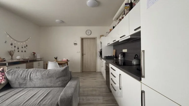 Pronájem bytu 3+kk 76 m², Včelná