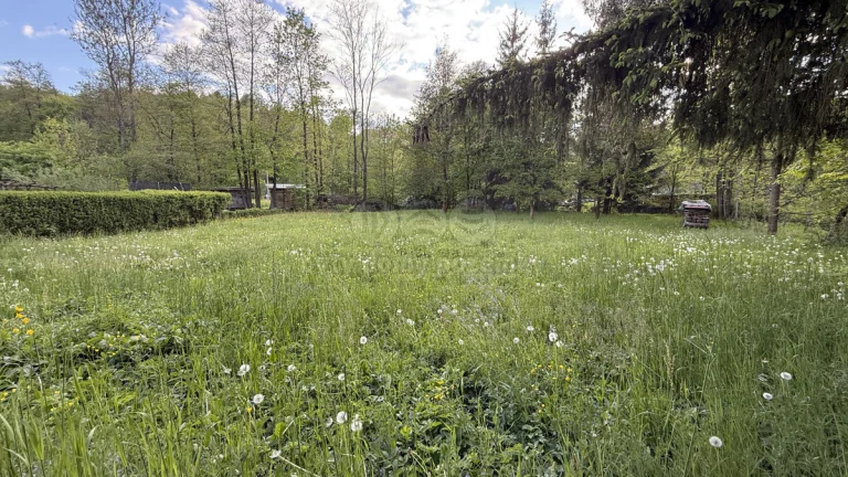 Prodej pozemku k bydlení 1224 m², Javornice