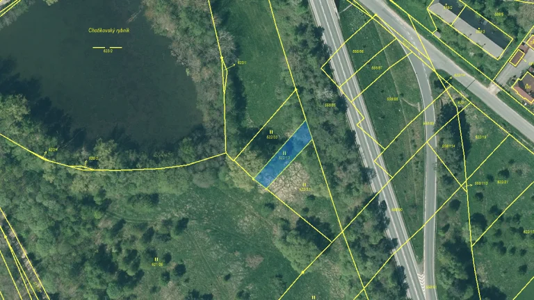 Prodej, trvalý travní porost, 349 m², Chotíkov