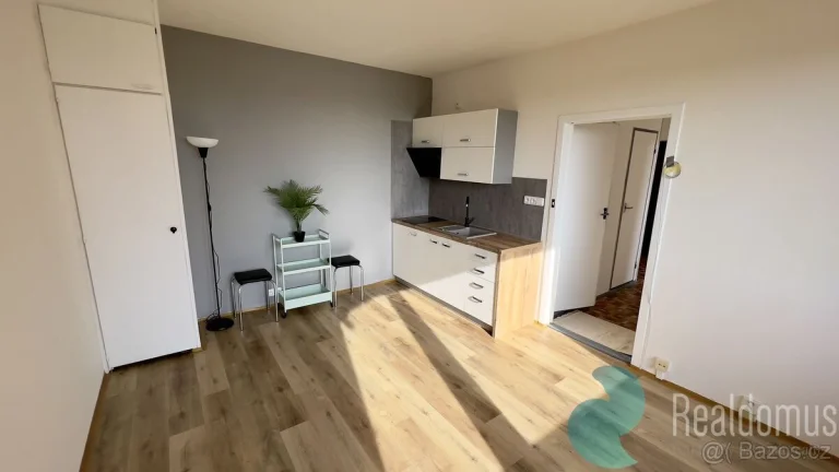Pronájem, byt 1+1, 49 m2, balkon, ul. Netolická, České Buděj