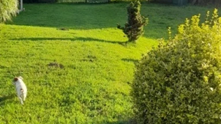 PRODÁM ZAHRADU NA KROMĚŘÍŽSKU - výhodná investice