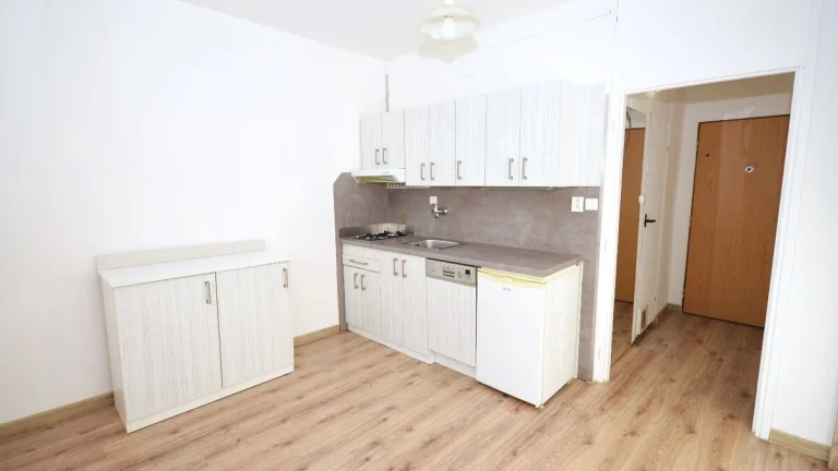 Pronájem bytu 1+1 36 m²