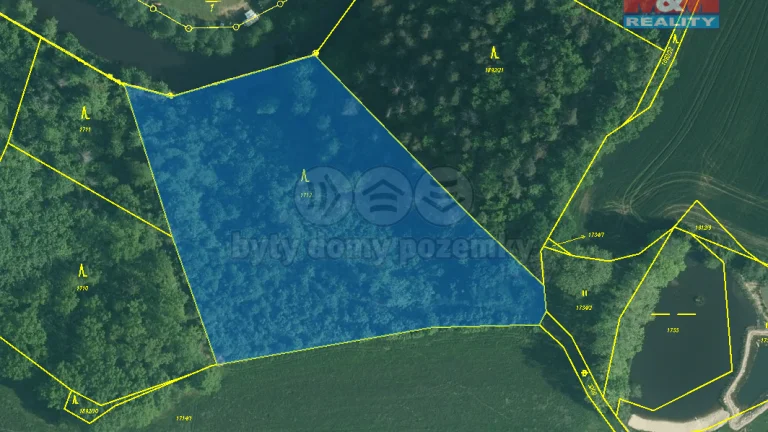 Prodej lesa, 9272 m², Římov - Branišovice