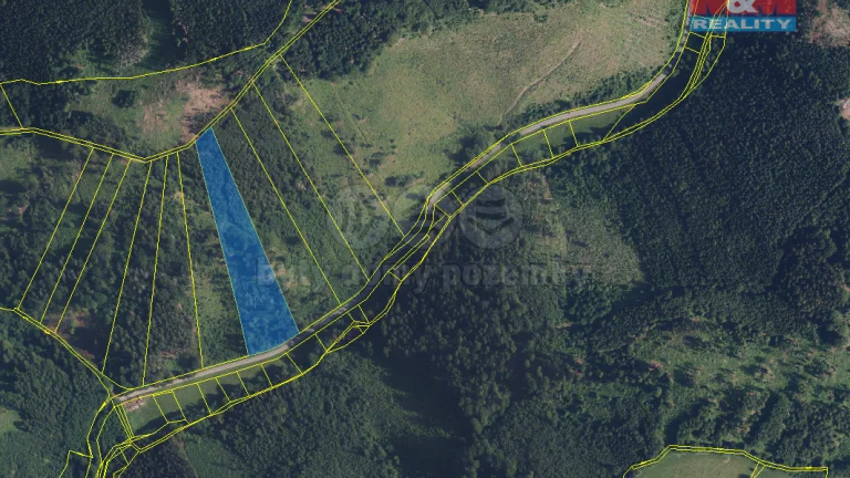 Prodej lesa, 12967 m², Nemile - Lupěné