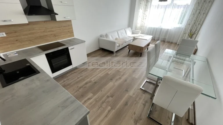 Pronájem novostavby bytu 2+kk s parkovacím stáním, Plzeň-Skv